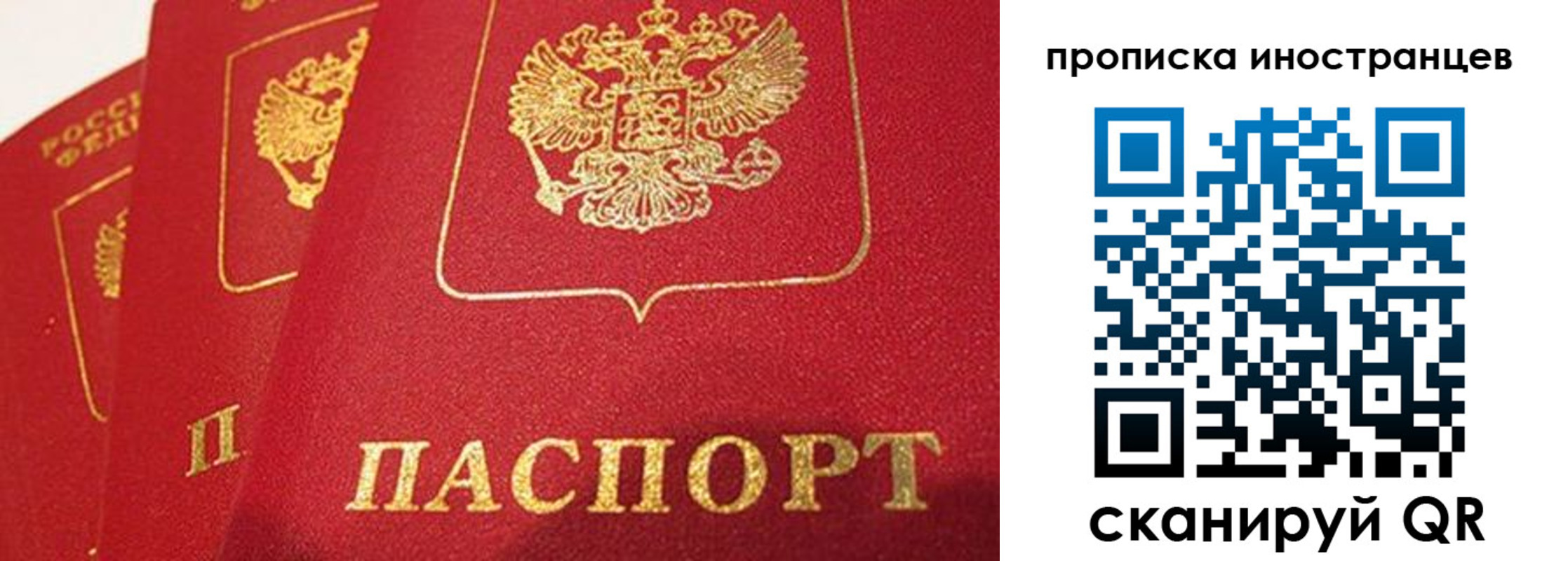 прописка поиск в Гвардейске